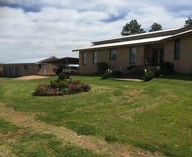 Rural / Farming commercial property sold at 783 Calarie Road Forbes NSW 2871
