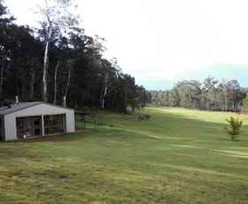 Rural / Farming commercial property sold at 1454 Tuross Rd Countegany NSW 2630
