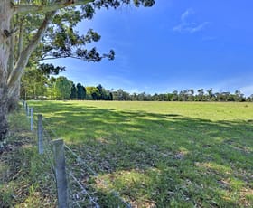 Rural / Farming commercial property sold at 191 Bloodtree Road Mangrove Mountain NSW 2250