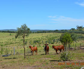 Rural / Farming commercial property sold at Kinleymore QLD 4613