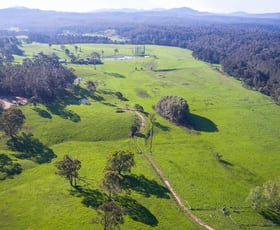 Rural / Farming commercial property sold at 77 Cherryrise Road Wamban NSW 2537