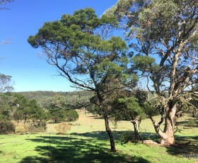 Rural / Farming commercial property sold at 243 Jacquet Road Nerriga NSW 2622