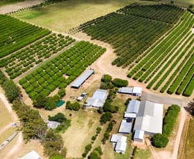 Rural / Farming commercial property sold at 57 Campbell Road Mutchilba QLD 4872