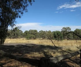 Rural / Farming commercial property sold at CA 12B, 89 Robs Road Campbelltown VIC 3364