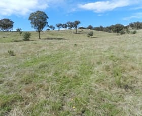 Rural / Farming commercial property sold at 1252 Kangaloolah Road Binda NSW 2583