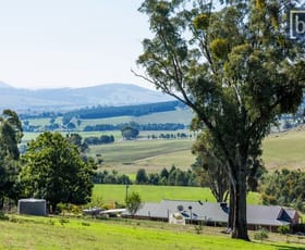Rural / Farming commercial property sold at 473 Switchback Rd Mudgegonga VIC 3737