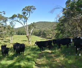 Rural / Farming commercial property sold at 220 Lowreys Road Bulahdelah NSW 2423