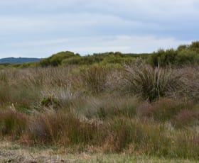 Rural / Farming commercial property sold at 5180 Southern Ports Highway Robe SA 5276