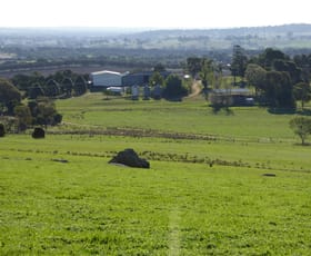 Rural / Farming commercial property sold at 665 Yankee Crossing Road Henty NSW 2658