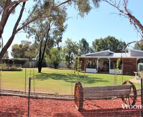 Rural / Farming commercial property sold at 1417 Murray Valley Highway Beverford VIC 3590