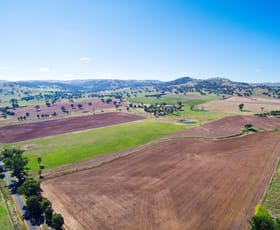 Rural / Farming commercial property sold at 684 Oakhills Road Nangus NSW 2722