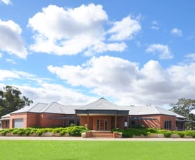Rural / Farming commercial property sold at 532 Perricoota Road Moama NSW 2731