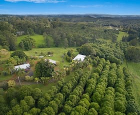 Rural / Farming commercial property sold at 1555 Dunoon Road Dunoon NSW 2480