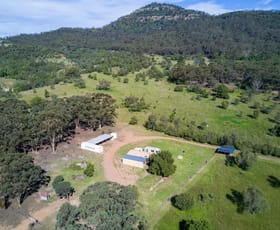 Rural / Farming commercial property sold at 593 Redmanvale Road Jerrys Plains NSW 2330