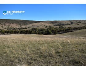 Rural / Farming commercial property sold at Lot 104 Mine Road Palmer SA 5237