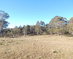 Rural / Farming commercial property sold at 221 Greenlands Road Nimmitabel NSW 2631
