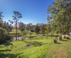 Rural / Farming commercial property sold at 100 Wilman Road Round Mountain NSW 2484