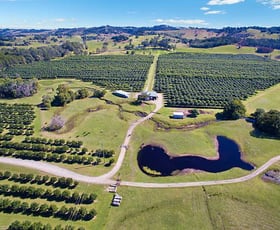 Rural / Farming commercial property sold at 80 Midgen Flat Road Broken Head NSW 2481
