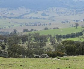 Rural / Farming commercial property sold at 2027 Ophir Rd Rock Forest NSW 2795