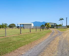 Rural / Farming commercial property sold at 65491 Bruce Highway Innisfail QLD 4860