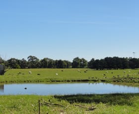 Rural / Farming commercial property sold at 445 Lower Toora Rd Foster VIC 3960