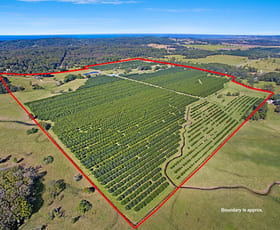 Rural / Farming commercial property sold at 80 Midgen Flat Road Broken Head NSW 2481