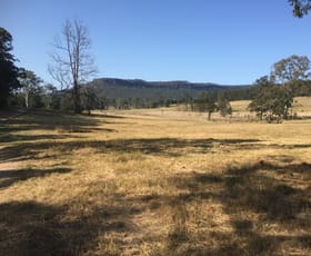 Rural / Farming commercial property sold at 159 Lurcocks Road Glenreagh NSW 2450