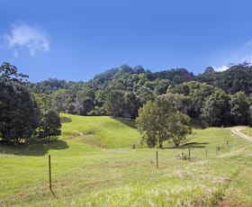 Rural / Farming commercial property sold at 1192 Numinbah Road Chillingham NSW 2484