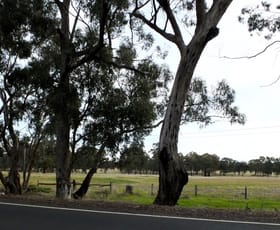 Rural / Farming commercial property sold at 9 Logan Road Bowenvale VIC 3465