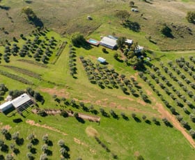 Rural / Farming commercial property sold at 118 Sneesbys Lane Manilla NSW 2346