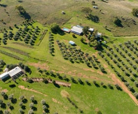 Rural / Farming commercial property sold at 118 Sneesbys Lane Manilla NSW 2346