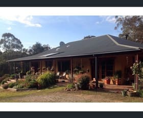 Rural / Farming commercial property sold at 115 Coxs Creek Trail Coxs Creek NSW 2849