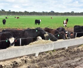 Rural / Farming commercial property sold at 160 McPhails Road Bundalong VIC 3730