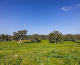Rural / Farming commercial property sold at 102 Muellers Road Birdwood SA 5234