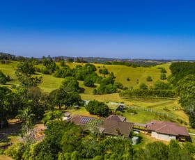 Rural / Farming commercial property sold at 438 Rosebank Road Rosebank NSW 2480
