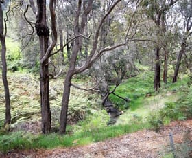Rural / Farming commercial property sold at 1009 Joshua Creek Road Crooked Brook WA 6236