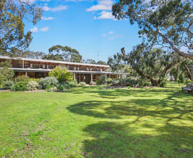 Rural / Farming commercial property sold at 145 Maddens Lane Marcus Hill VIC 3222