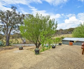 Rural / Farming commercial property sold at 684 Carrick Rd Carrick NSW 2580