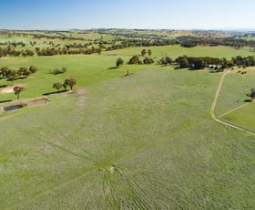 Rural / Farming commercial property sold at 7089 Mid Western Hwy Lyndhurst NSW 2797