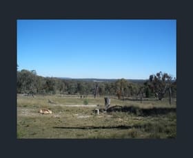 Rural / Farming commercial property sold at 5442 Warrumbungles Way Binnaway NSW 2395