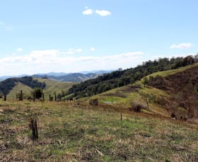 Rural / Farming commercial property sold at 595 Dees Road Belbora NSW 2422 Rural / Farming commercial property sold at 595 Dees Road Belbora NSW 2422