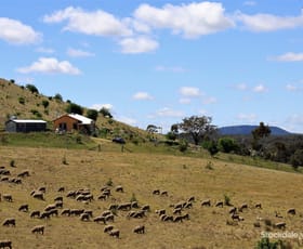 Rural / Farming commercial property sold at 469 Boundary Gully Road Yandoit Hills VIC 3461