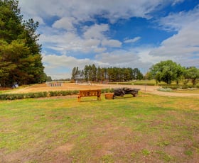 Rural / Farming commercial property sold at 10 Coney Hatch Ln Sutton Forest NSW 2577