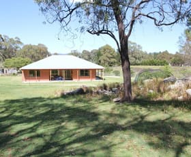 Rural / Farming commercial property sold at 197 Paling Yard Road Wallangarra QLD 4383