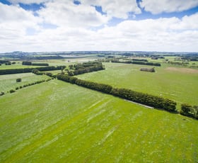 Rural / Farming commercial property sold at 1140 Curdies-Leichfield Road Cobrico VIC 3266