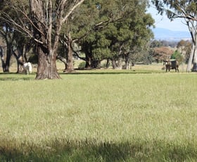 Rural / Farming commercial property sold at 595 Bocobra Road Manildra NSW 2865
