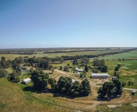 Rural / Farming commercial property sold at 1154 Flinders Highway Coomunga SA 5607