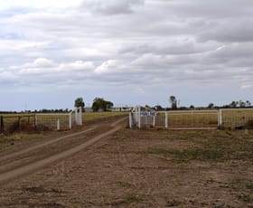 Rural / Farming commercial property sold at 271 Woodbine Road Blackall QLD 4472