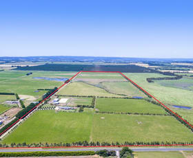 Rural / Farming commercial property sold at 3615 Cape Otway Road Birregurra VIC 3242