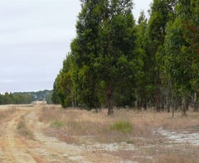 Rural / Farming commercial property sold at Lot 4 Savage Road Neridup WA 6450